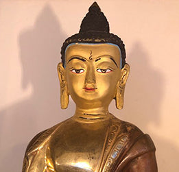 20/21 CARE ACCORDING TO CHINESE MEDICINE