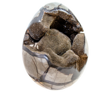 Septarian Egg