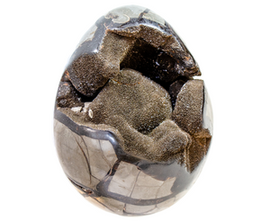 Septarian Egg