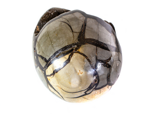 Septarian Egg